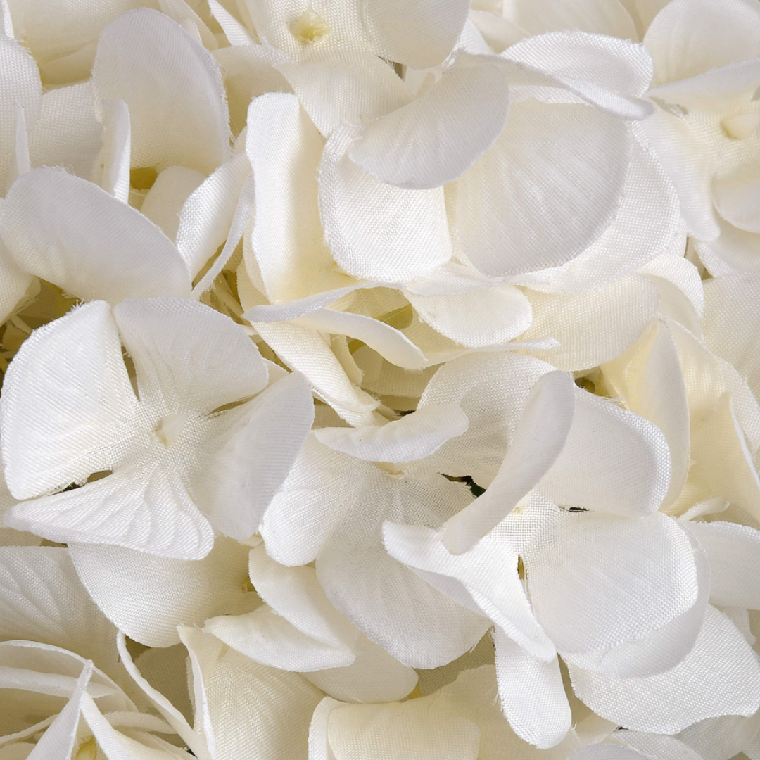 Oversized White Hydrangea