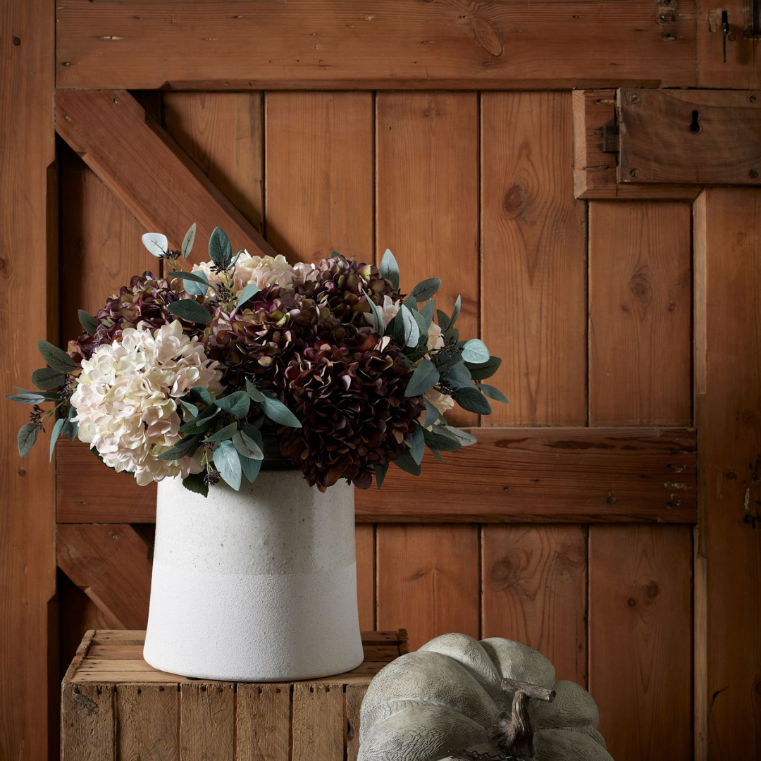 Autumn Peach Hydrangea