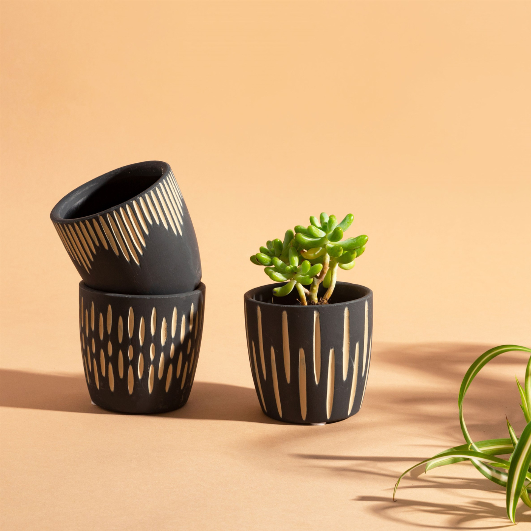 Set of 3 Ceramic Mini Black and Gold Mini Planters