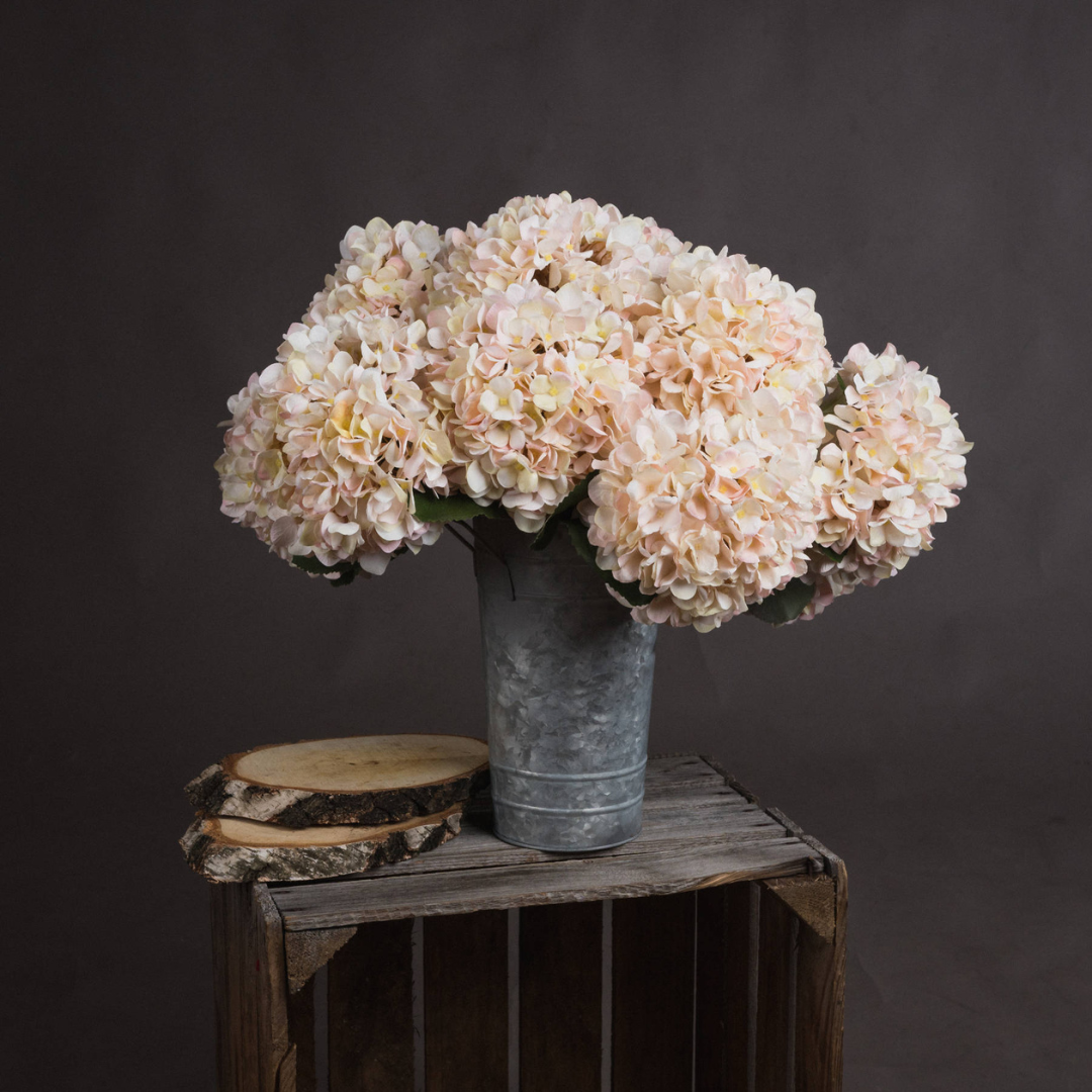 Autumn Peach Hydrangea